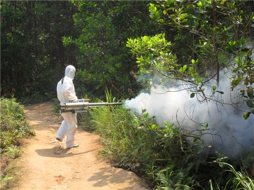 phun diệt muỗi ở Thái Bình