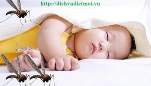 Dịch vụ diệt muỗi quận Hoàng Mai