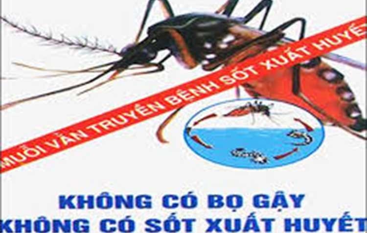 Phun thuốc diệt muỗi tại TP Huế