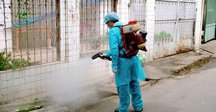 Dịch vụ diệt ruồi tại Bắc Ninh