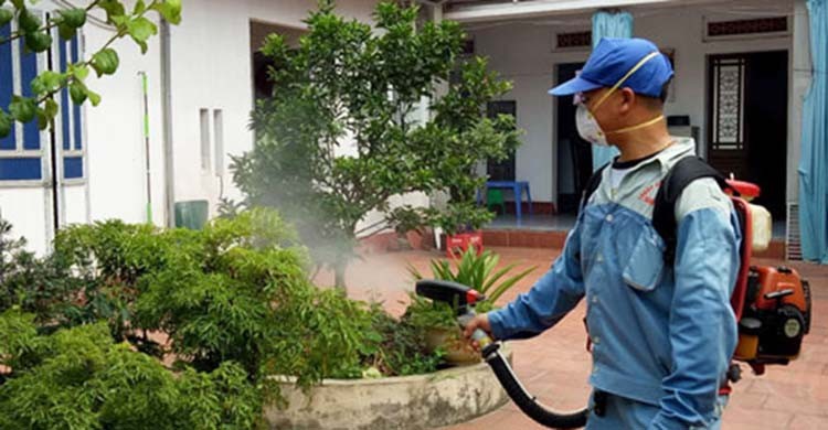 dịch vụ diệt muỗi tại nhà