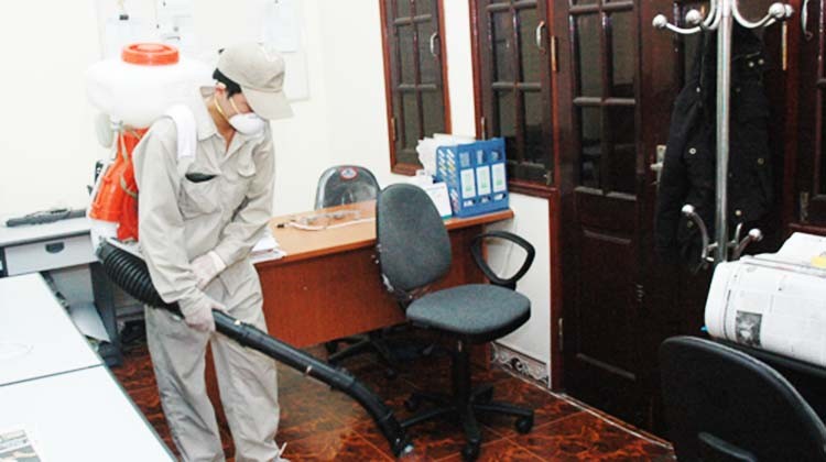 dịch vụ diệt muỗi tại Bắc Ninh