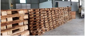 diệt mối pallet gỗ