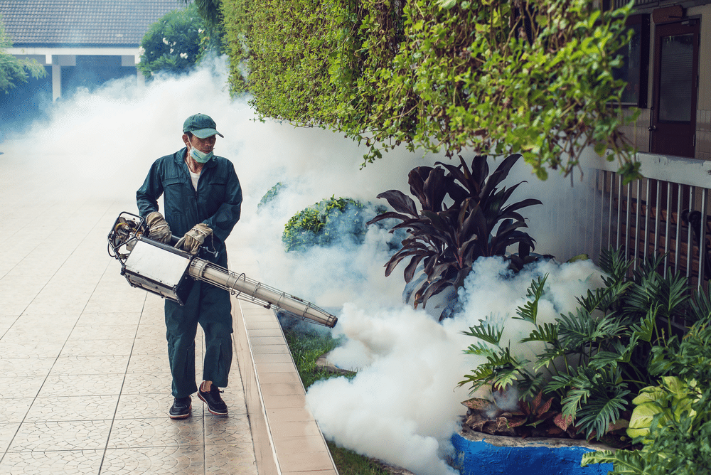 Dịch vụ diệt ruồi tại Thanh Hóa