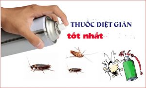 dịch vụ diệt gián tại Phú Thọ