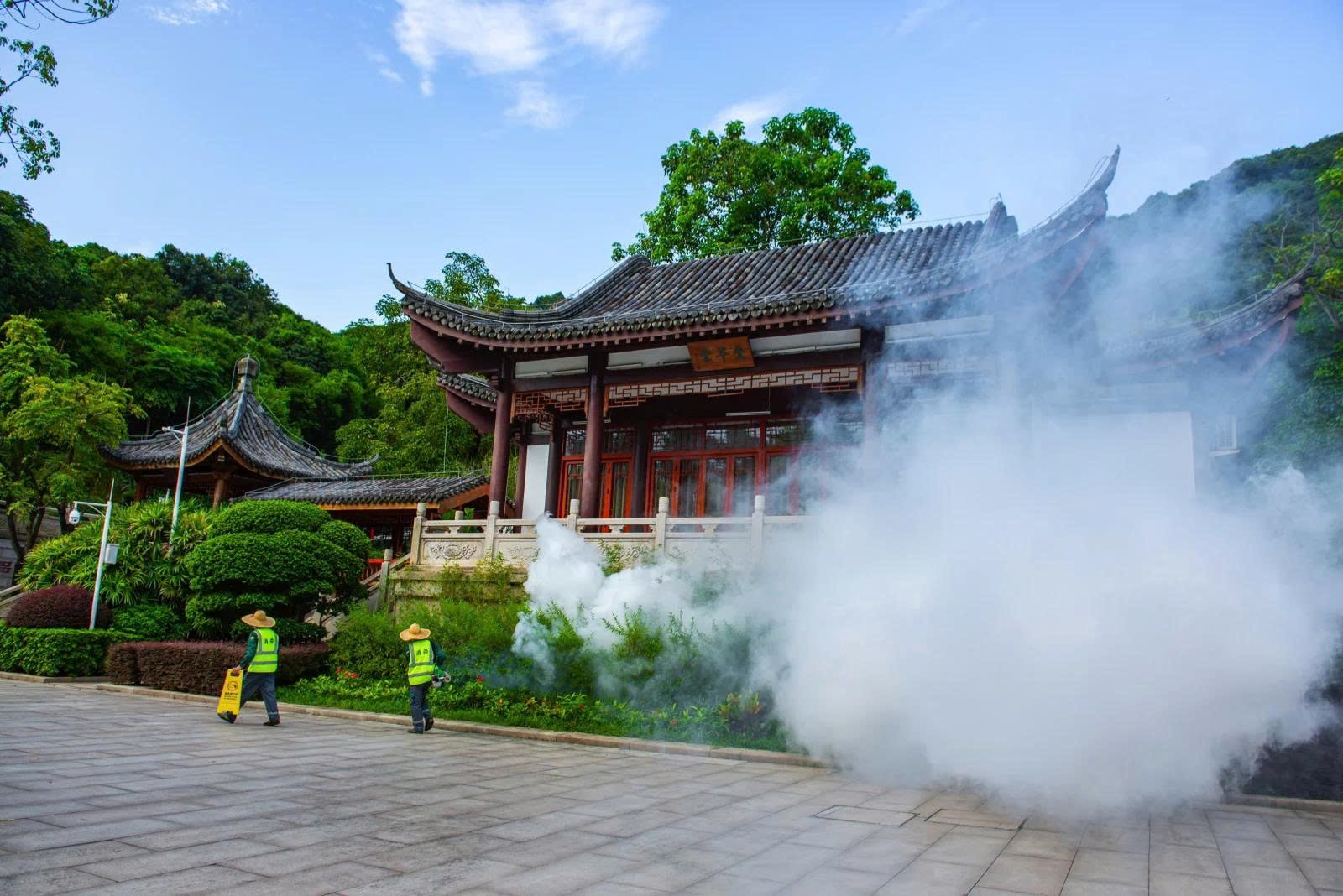 Chikungunya